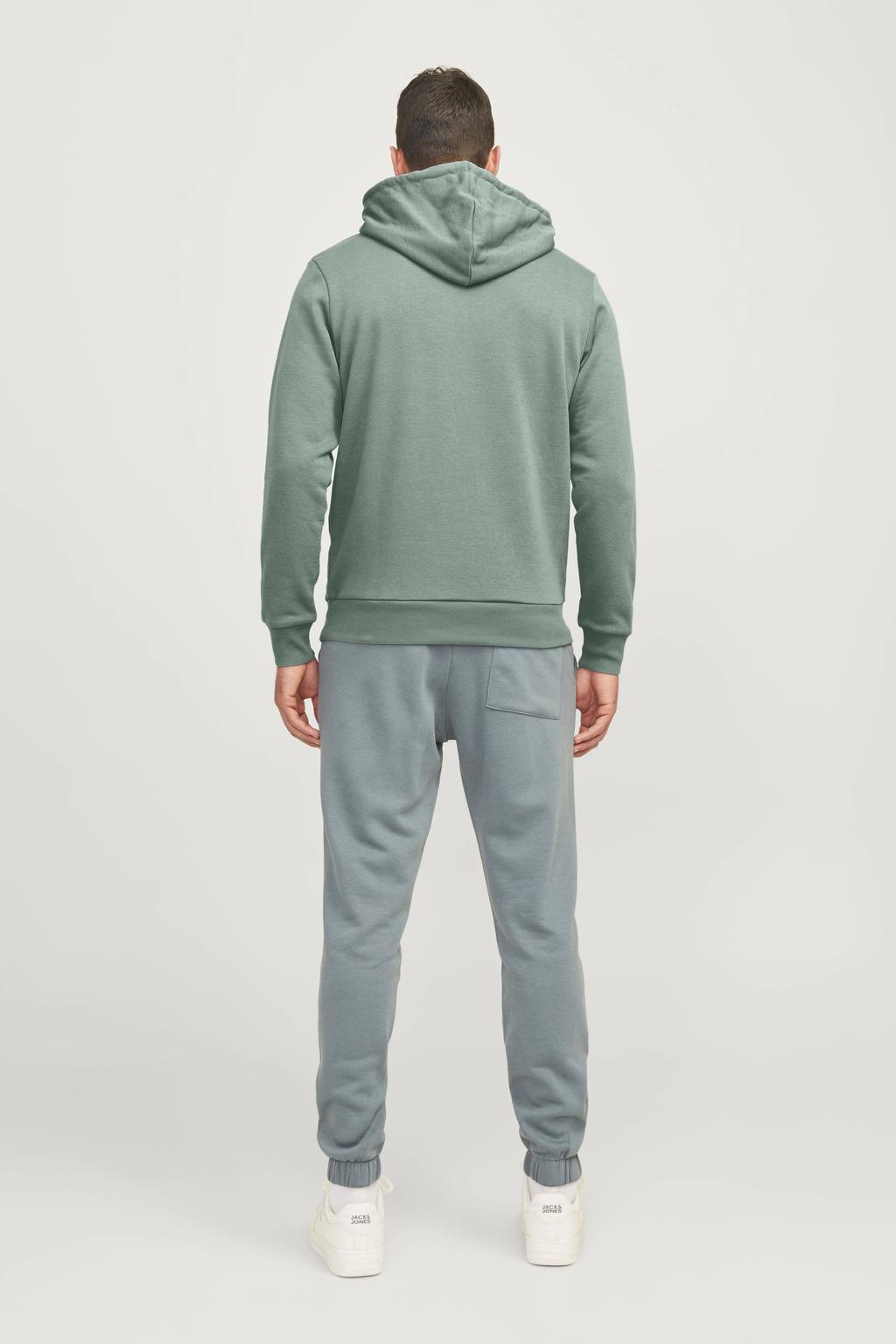 JJ REBEL hoodie groen