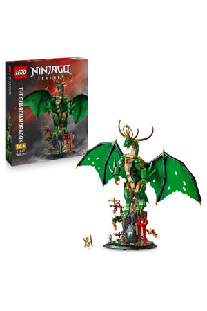 De Drakenbewaker Bouw- en Displayset 71847 