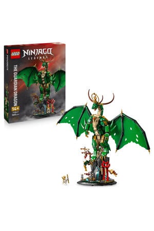 De Drakenbewaker Bouw- en Displayset 71847