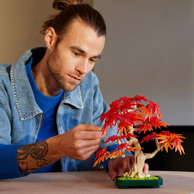 LEGO Botanical Collection Japanse Esdoorn Bonsaiboompje 10348 | wehkamp