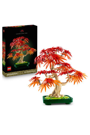 Japanse Esdoorn Bonsaiboompje 10348
