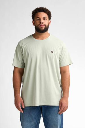 T-shirt grijsgroen