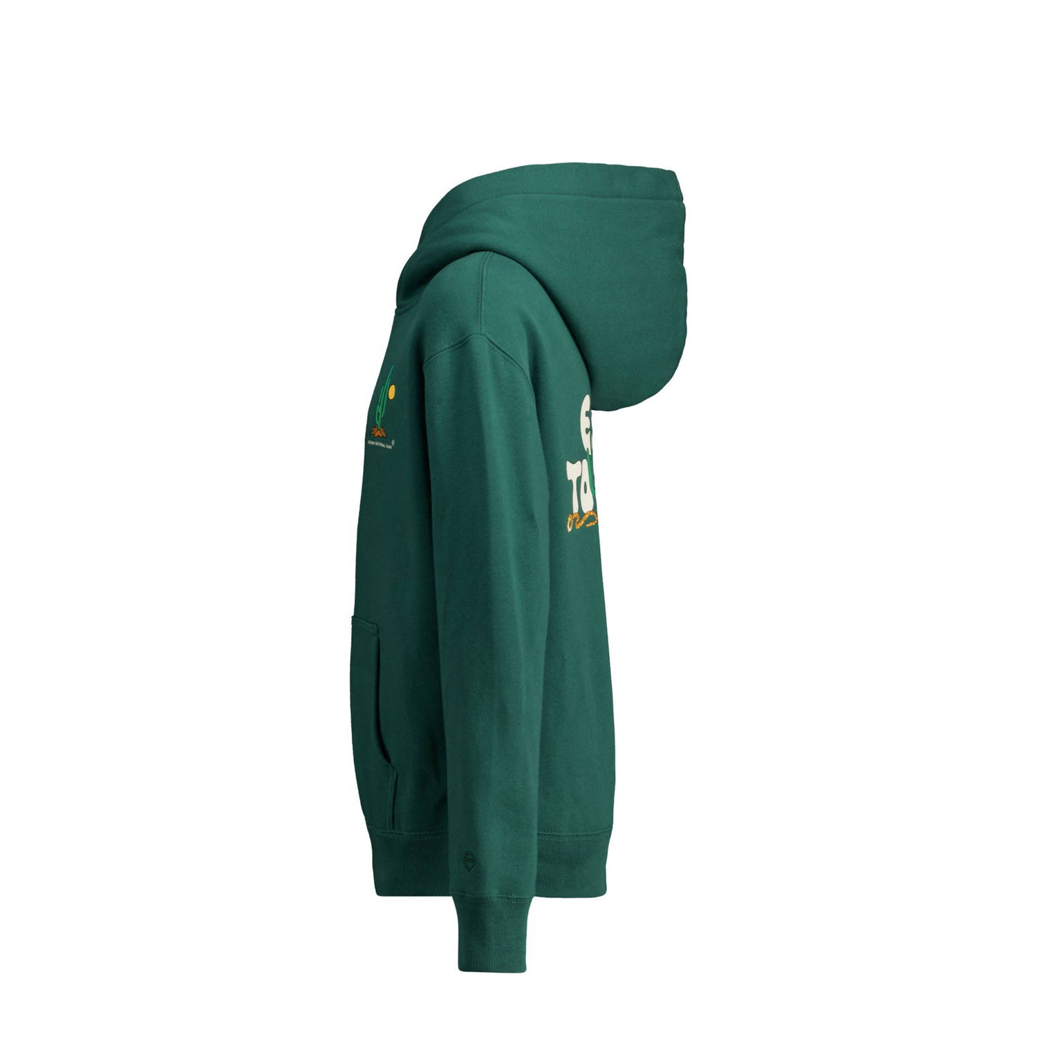 America Today hoodie groen