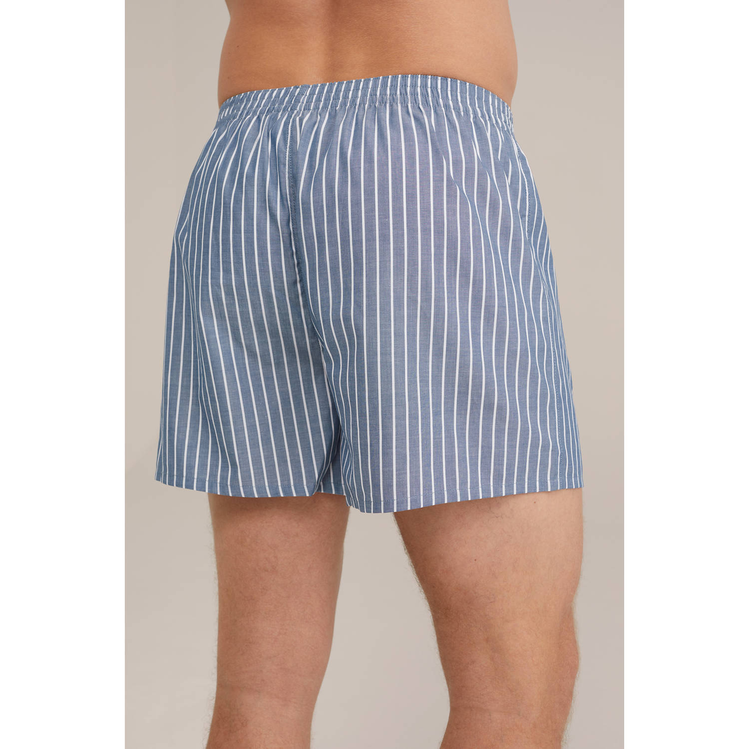 WE Fashion wijde boxershort blauw wit