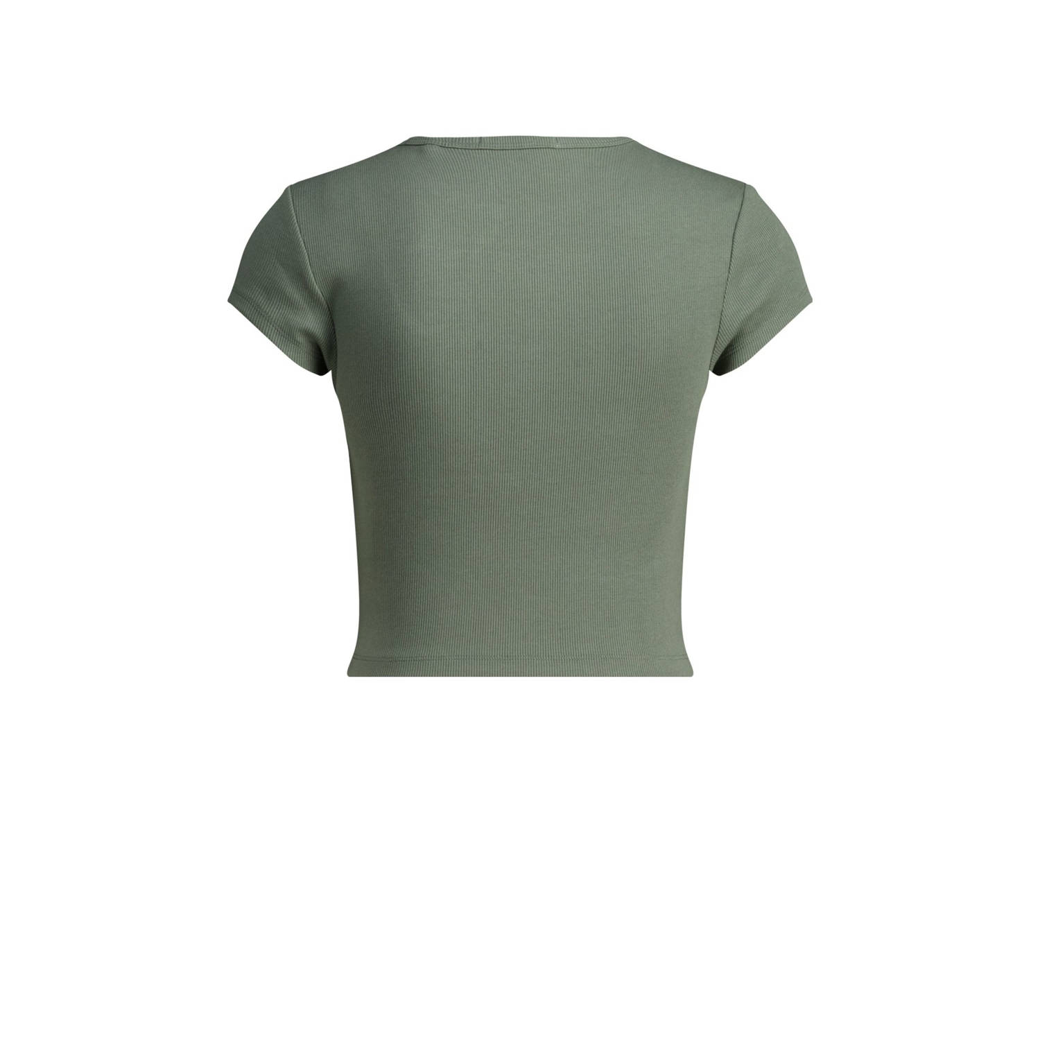 America Today T-shirt grijsgroen