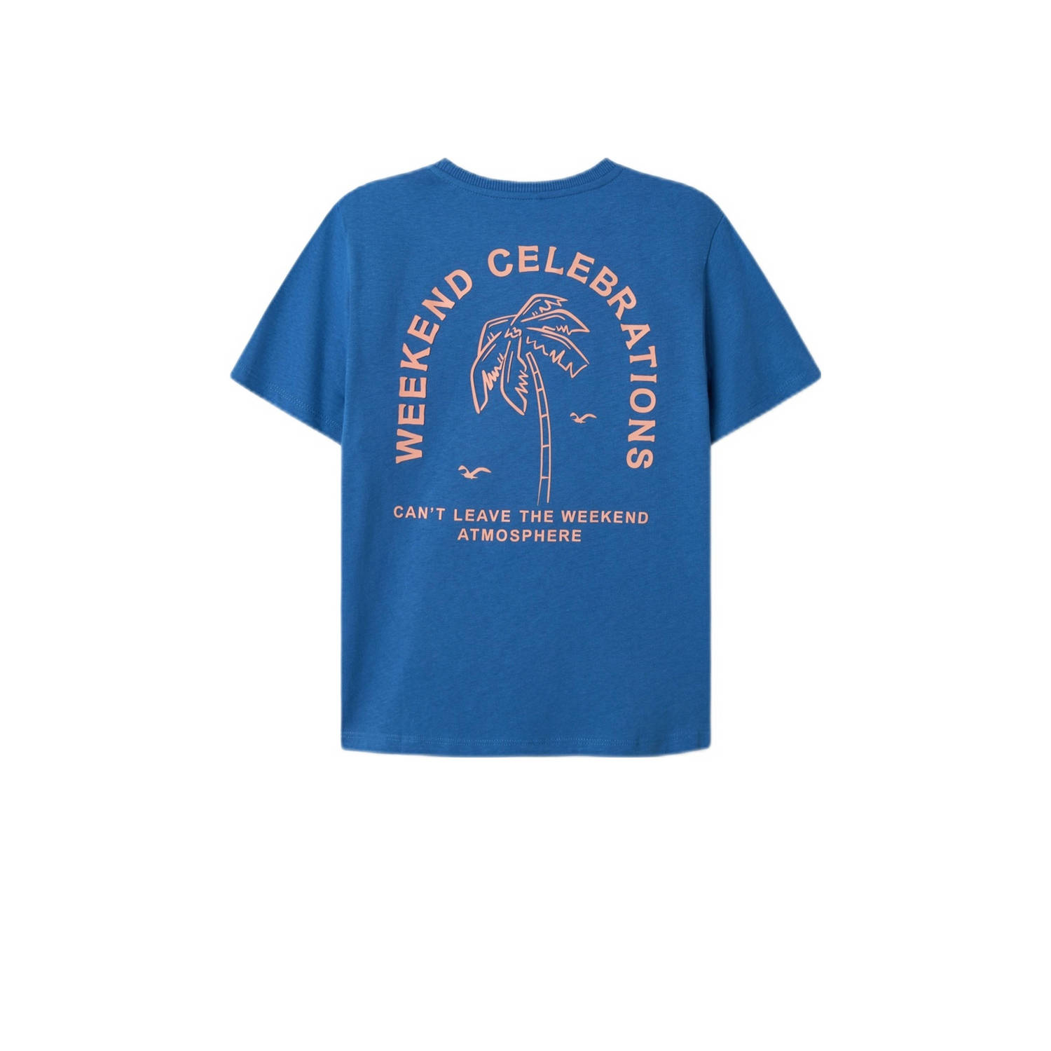 NAME IT KIDS T-shirt blauw