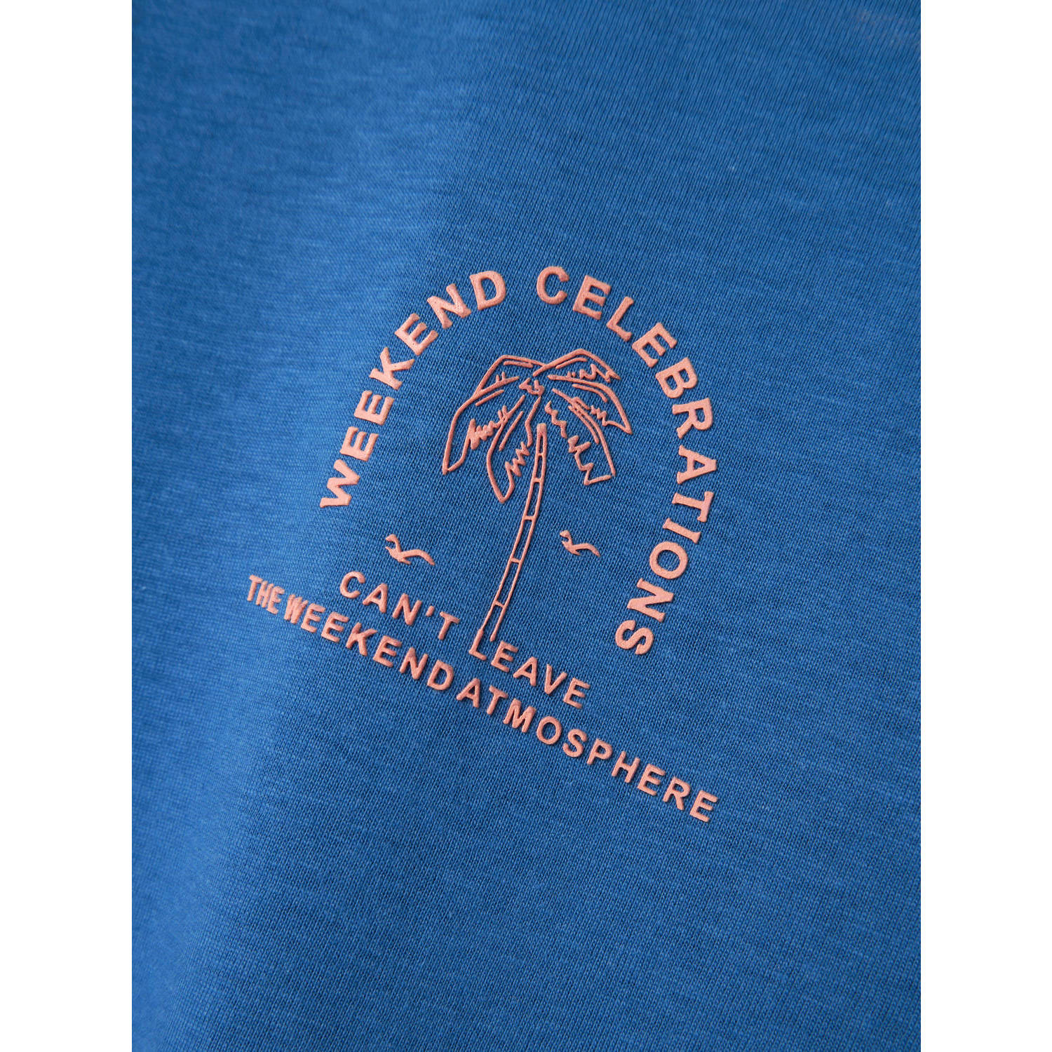 NAME IT KIDS T-shirt blauw