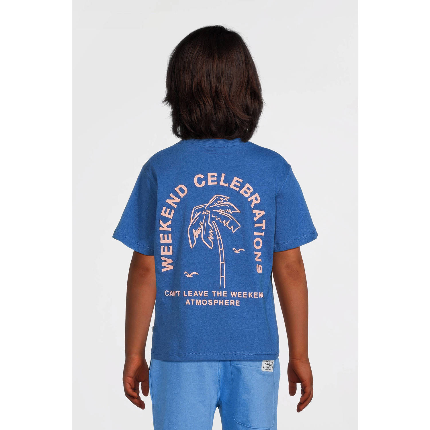 NAME IT KIDS T-shirt blauw