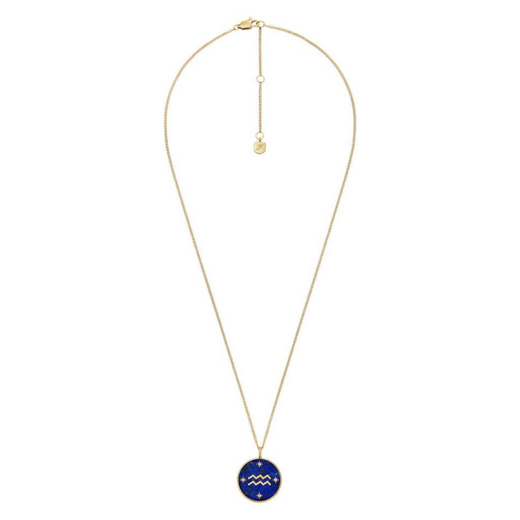 Fossil ketting JF04849710 Waterman sterrenbeeld goudkleurig