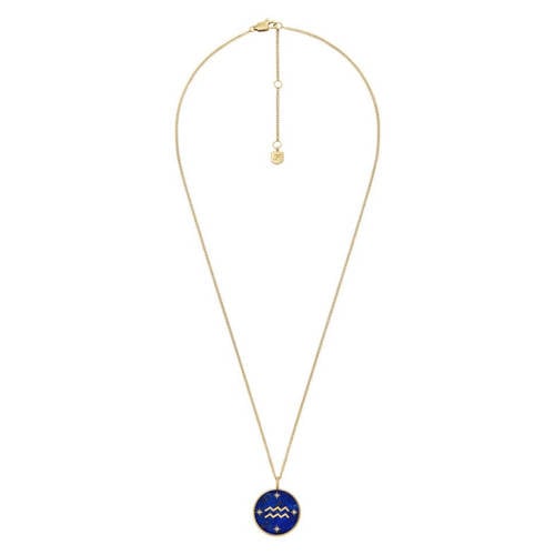 Fossil ketting JF04849710 Waterman sterrenbeeld goudkleurig afbeelding