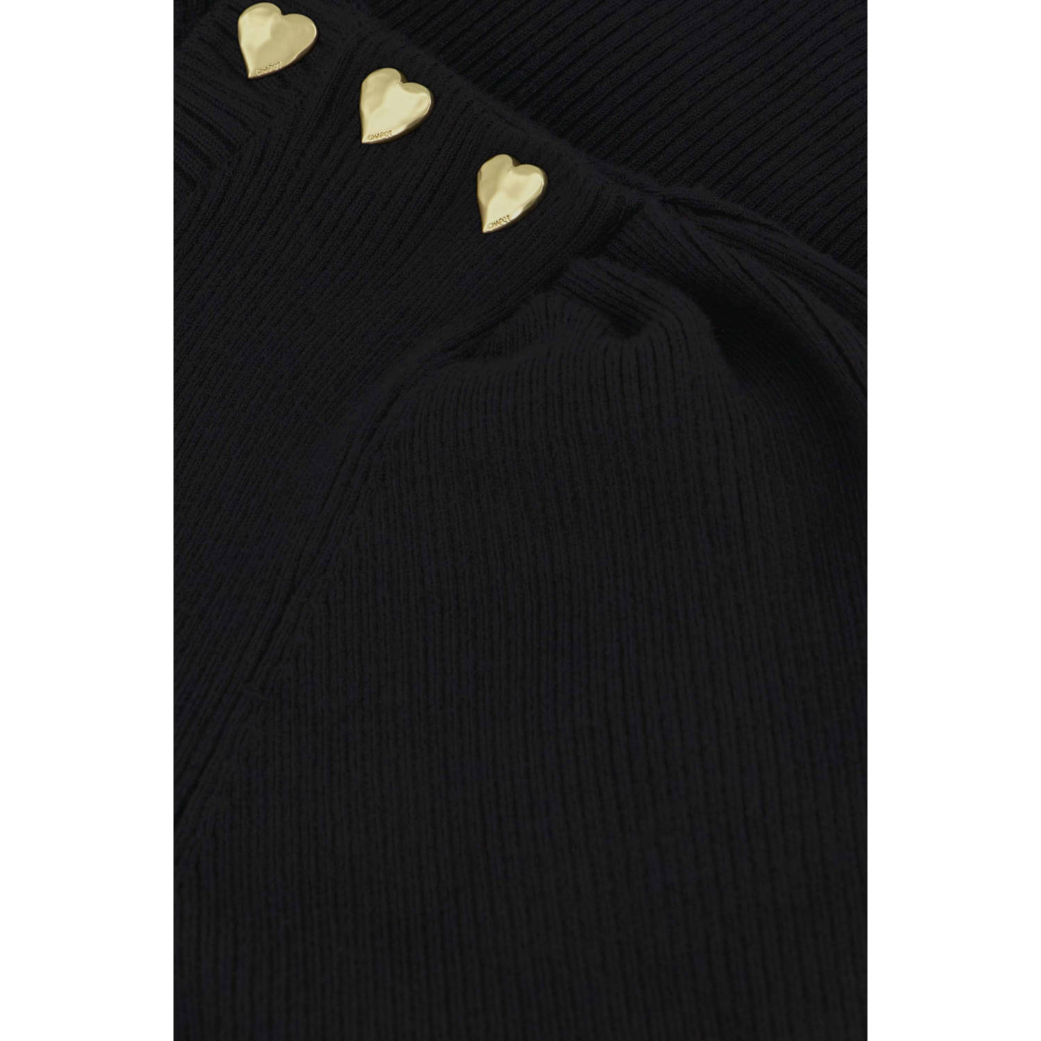 Fabienne Chapot pullover zwart