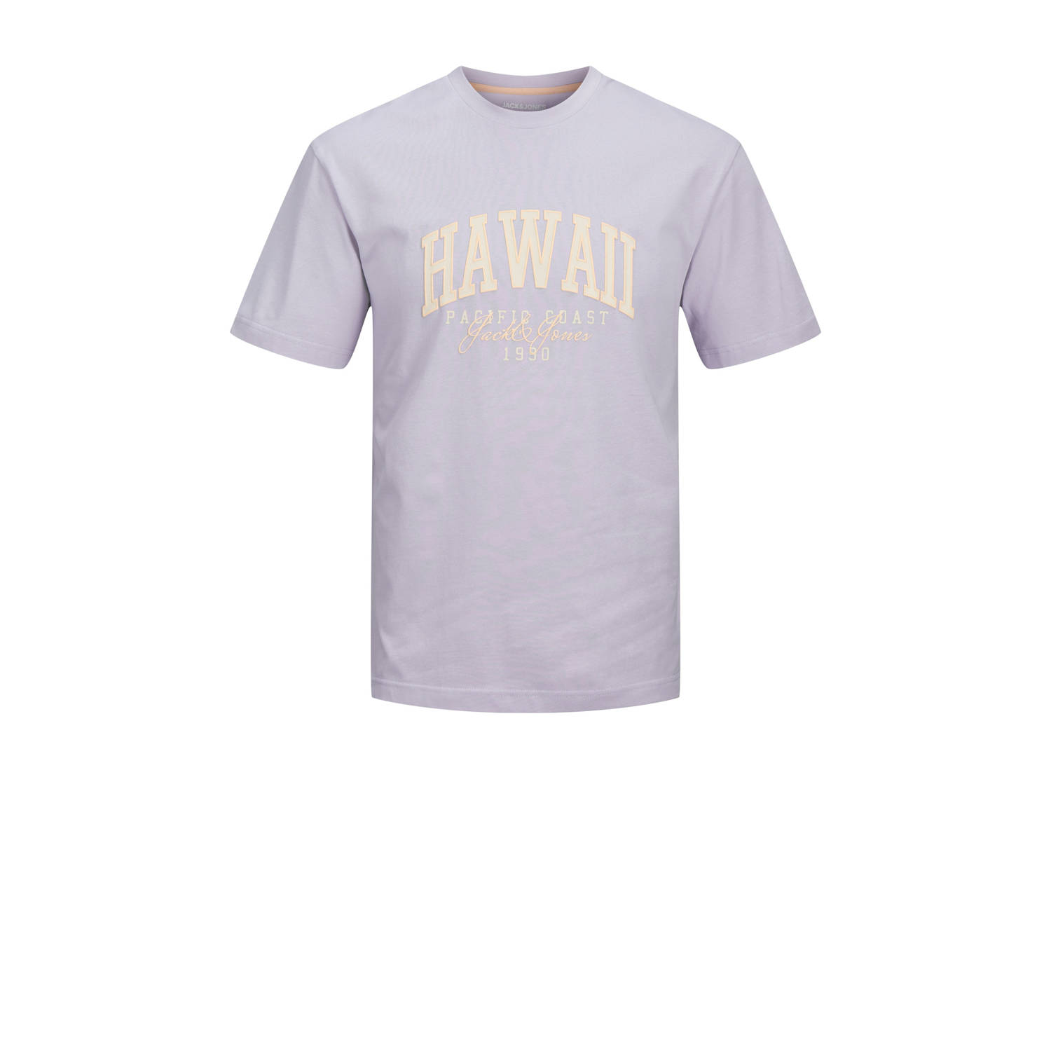 Jack & Jones Junior T-shirt JJDETROIT TEE SS CREW NECK JNR
