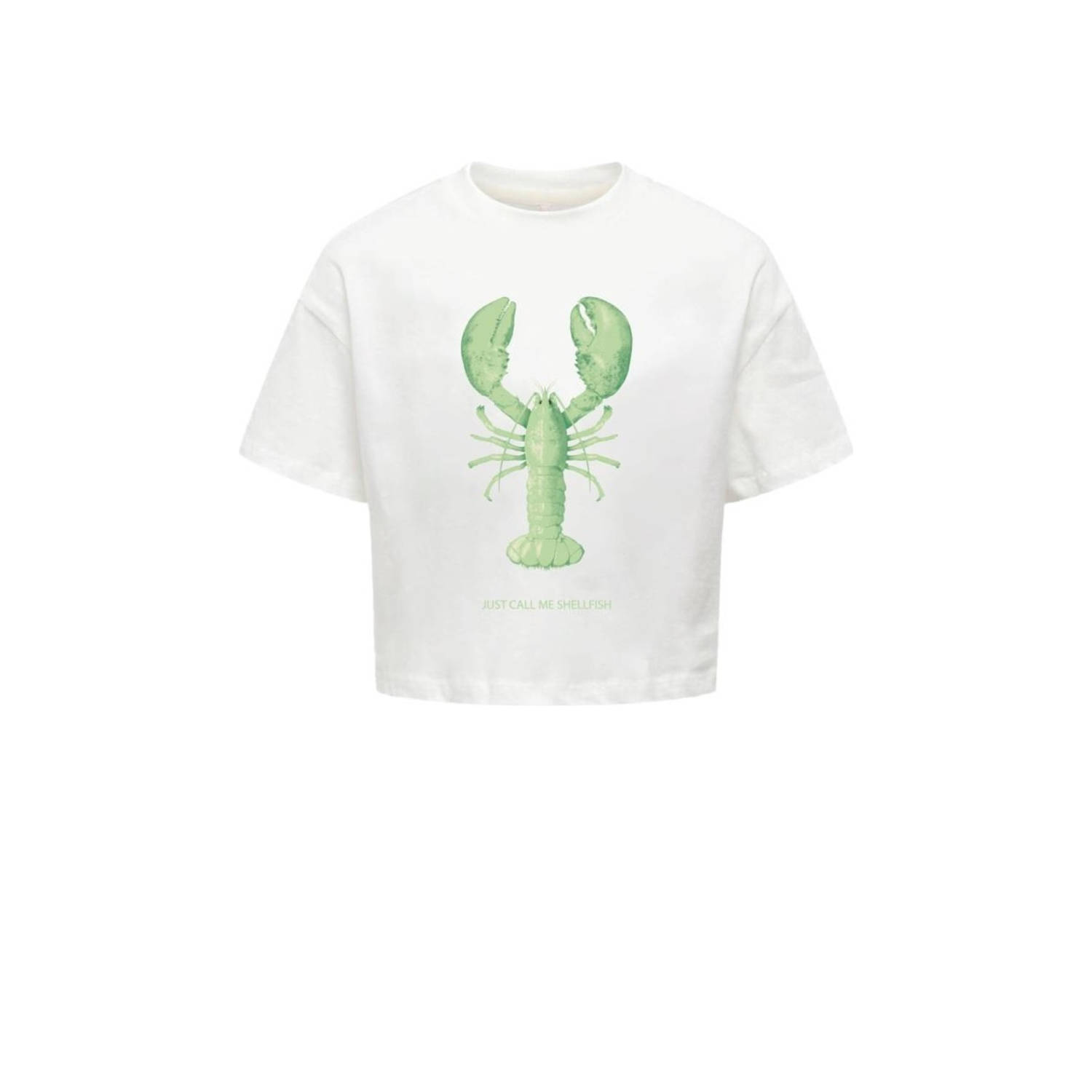 ONLY KIDS GIRL T-shirt wit