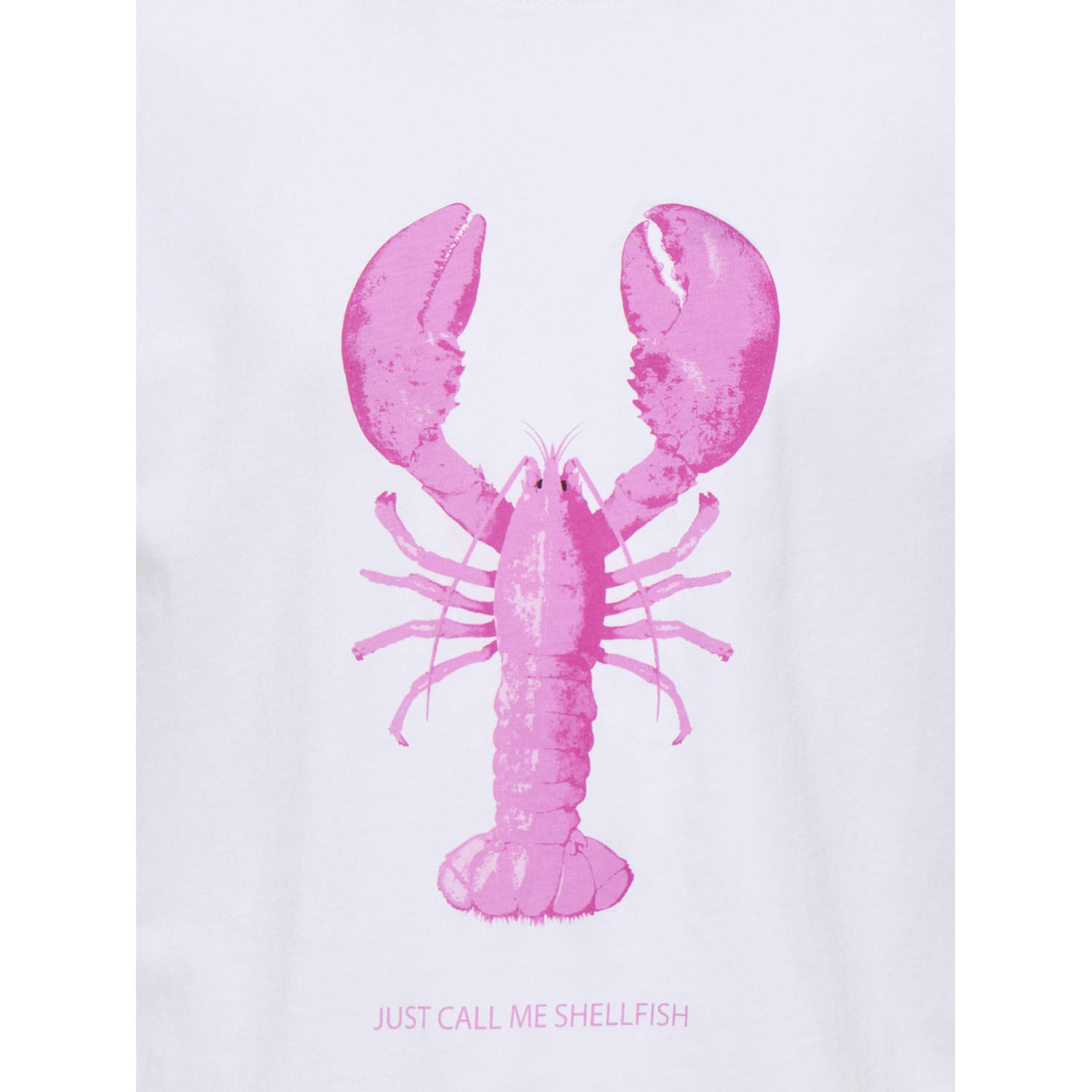 ONLY KIDS GIRL T-shirt wit