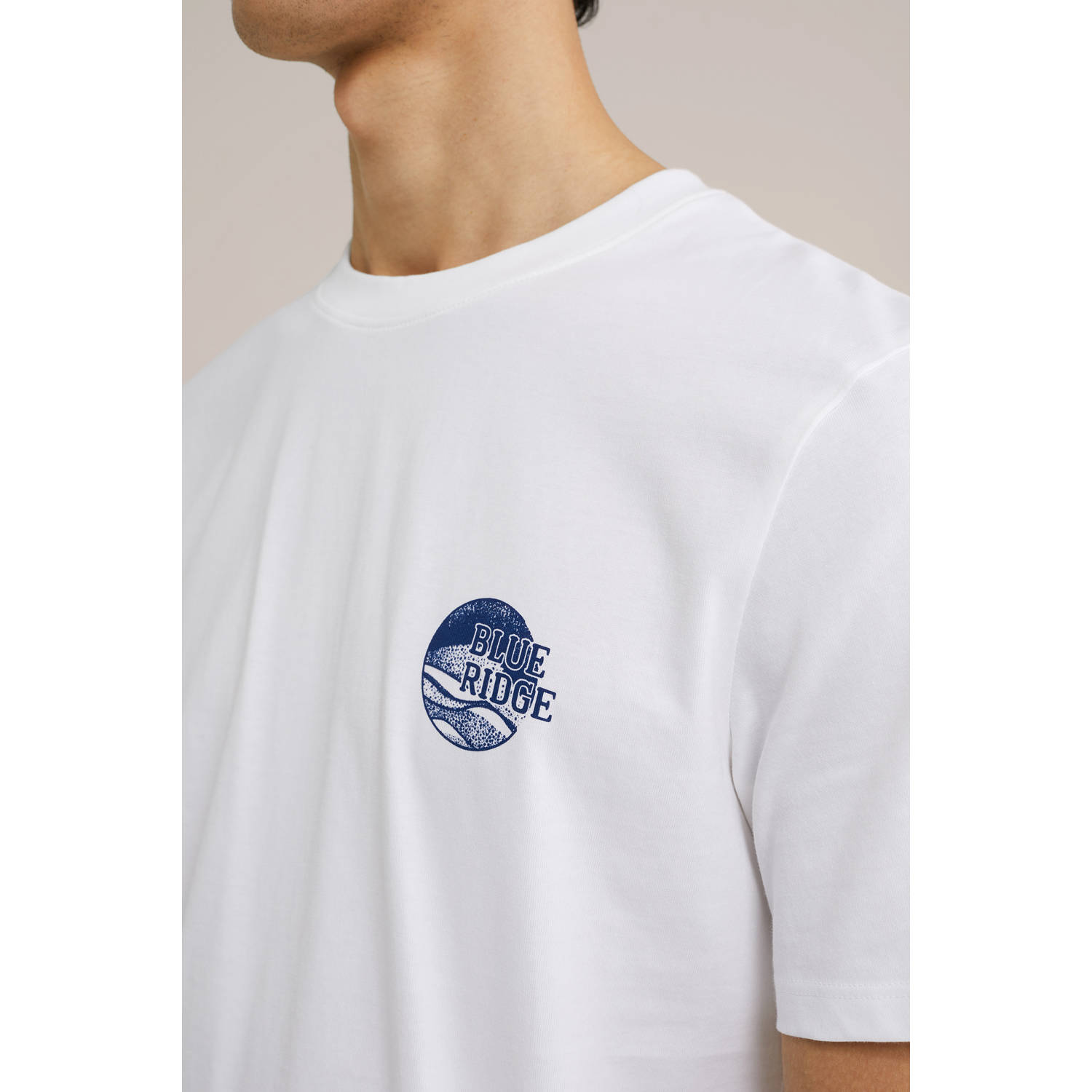 WE Fashion Blue Ridge T-shirt wit