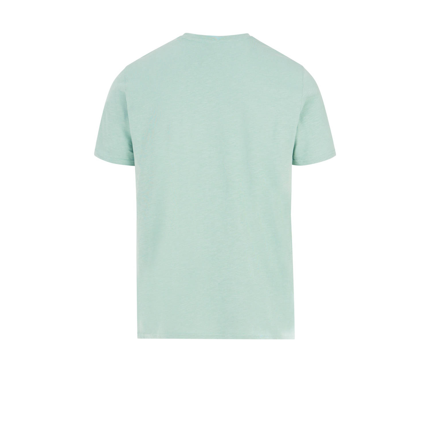 Protest T-shirt mintgroen
