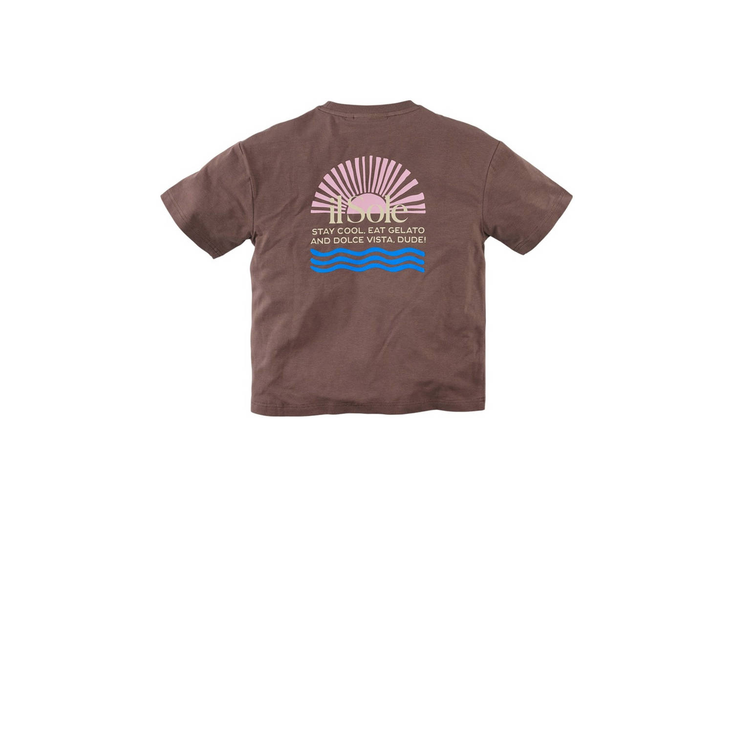 Z8 kids T-shirt Dario met backprint bruin