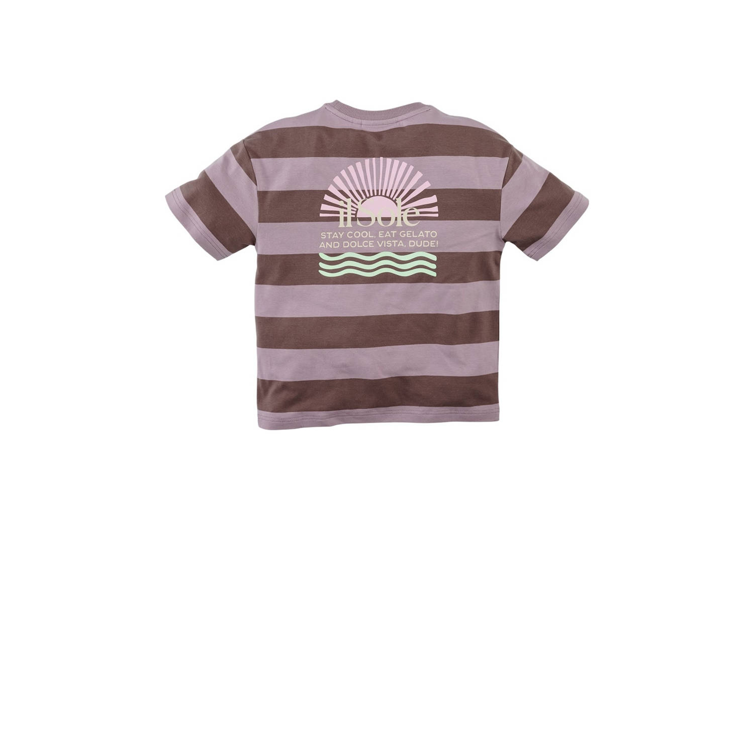 Z8 kids T-shirt Iwan met streepprint lila bruin