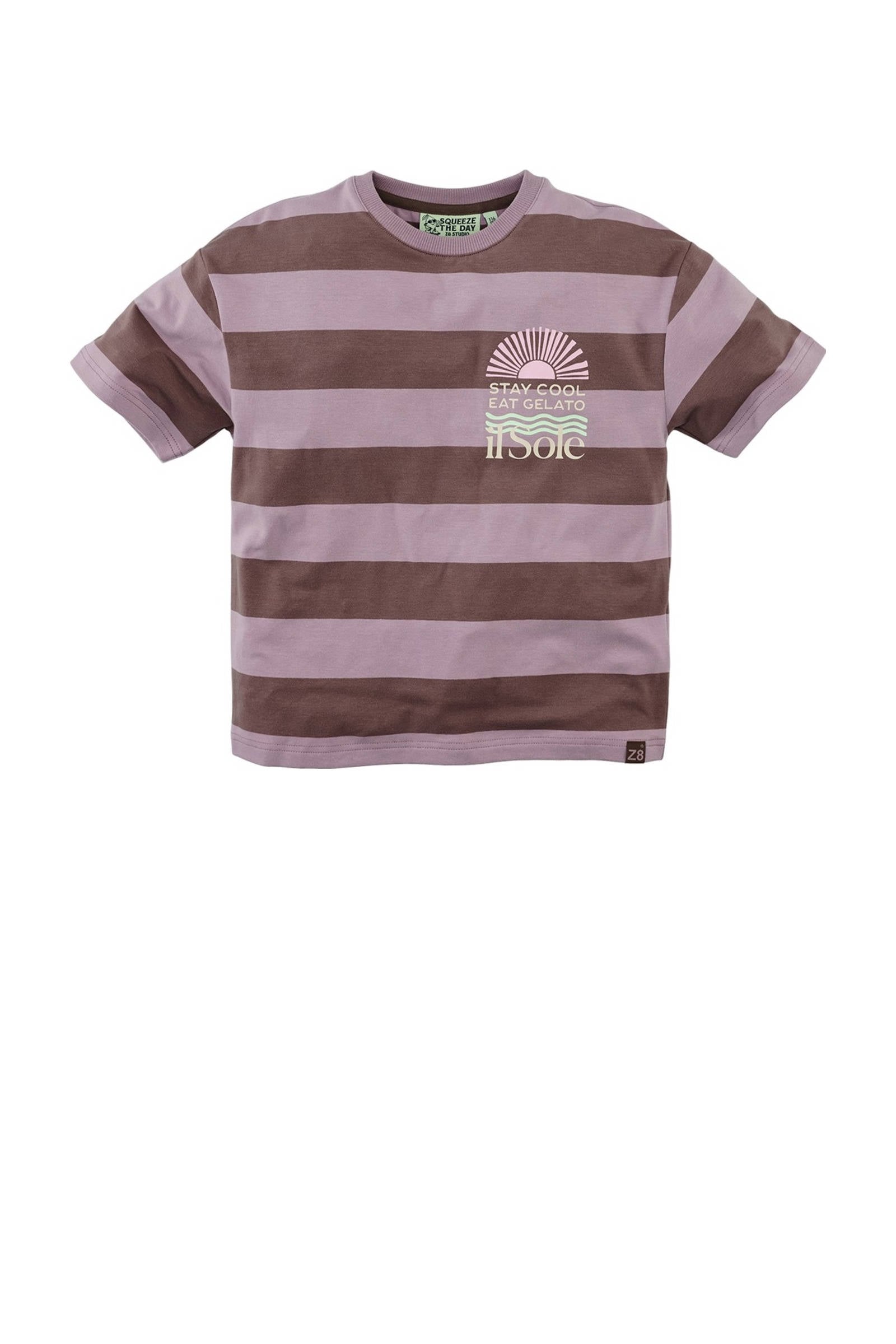 Z8 kids T-shirt Iwan met streepprint lila/bruin | wehkamp