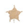 Jollein speendoekje Little Star Biscuit