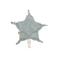 Jollein speendoekje Star - Sea Green