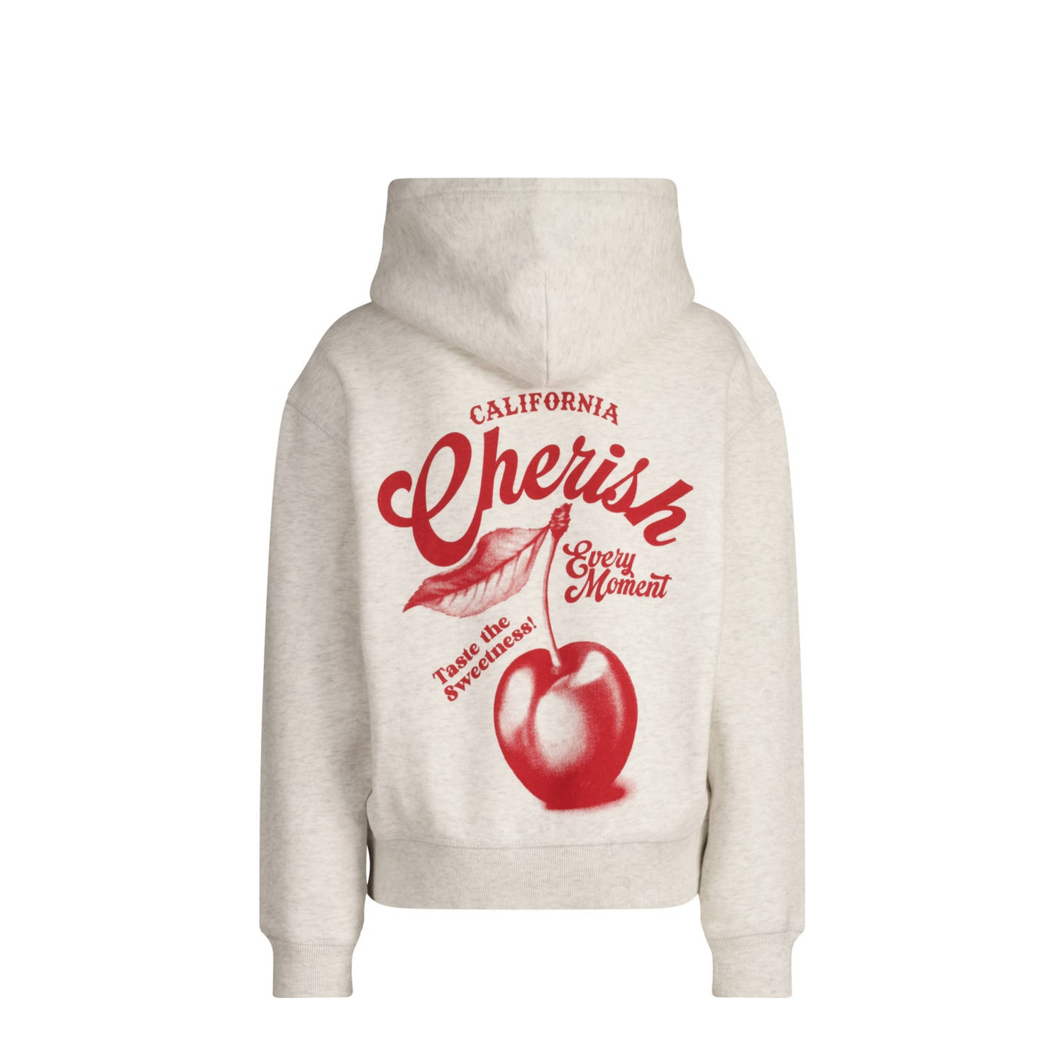 America Today hoodie grijs melange