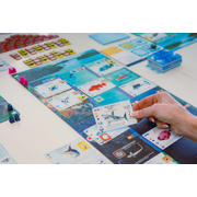 thumbnail: 999 Games  Finspan