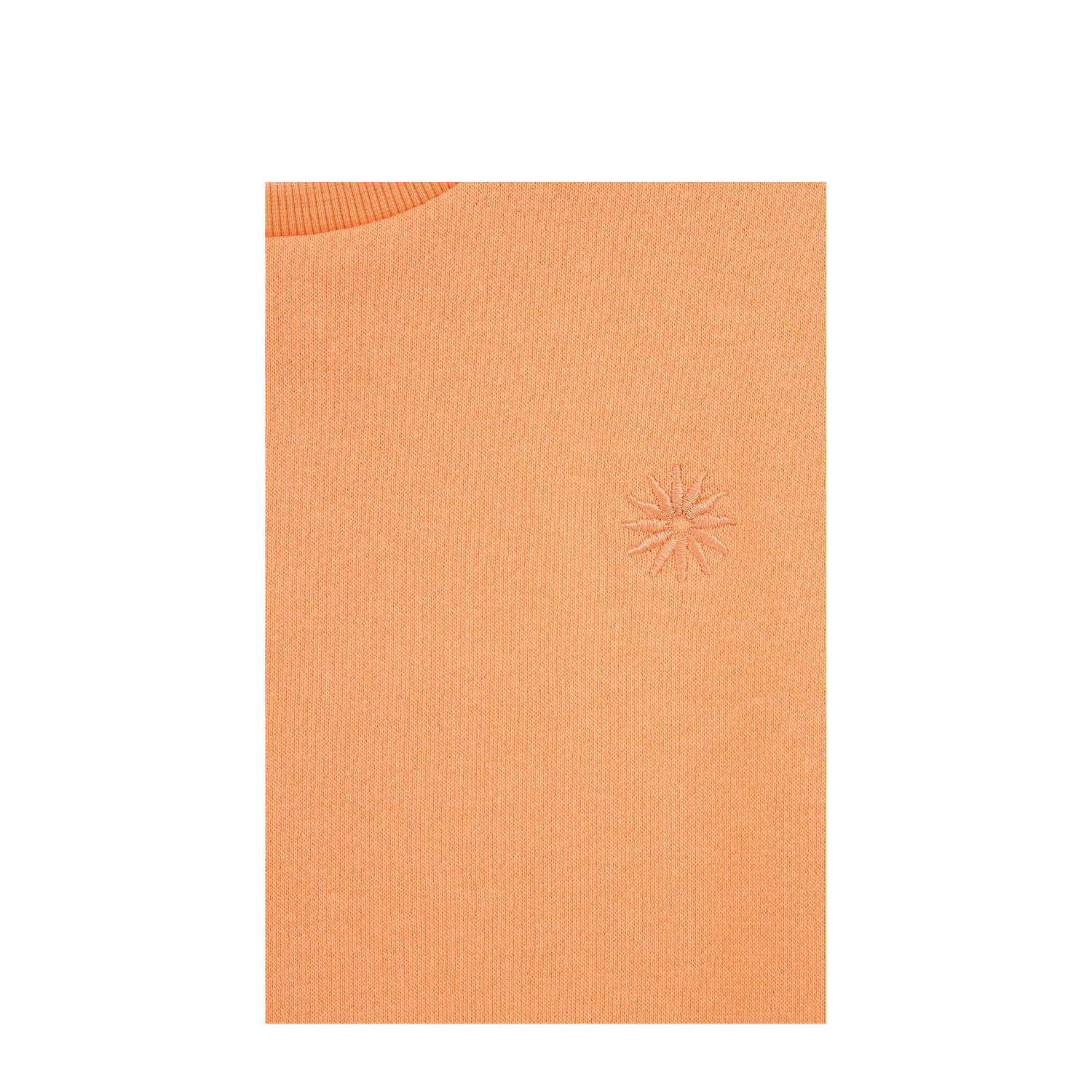 WE Fashion sweater oranje