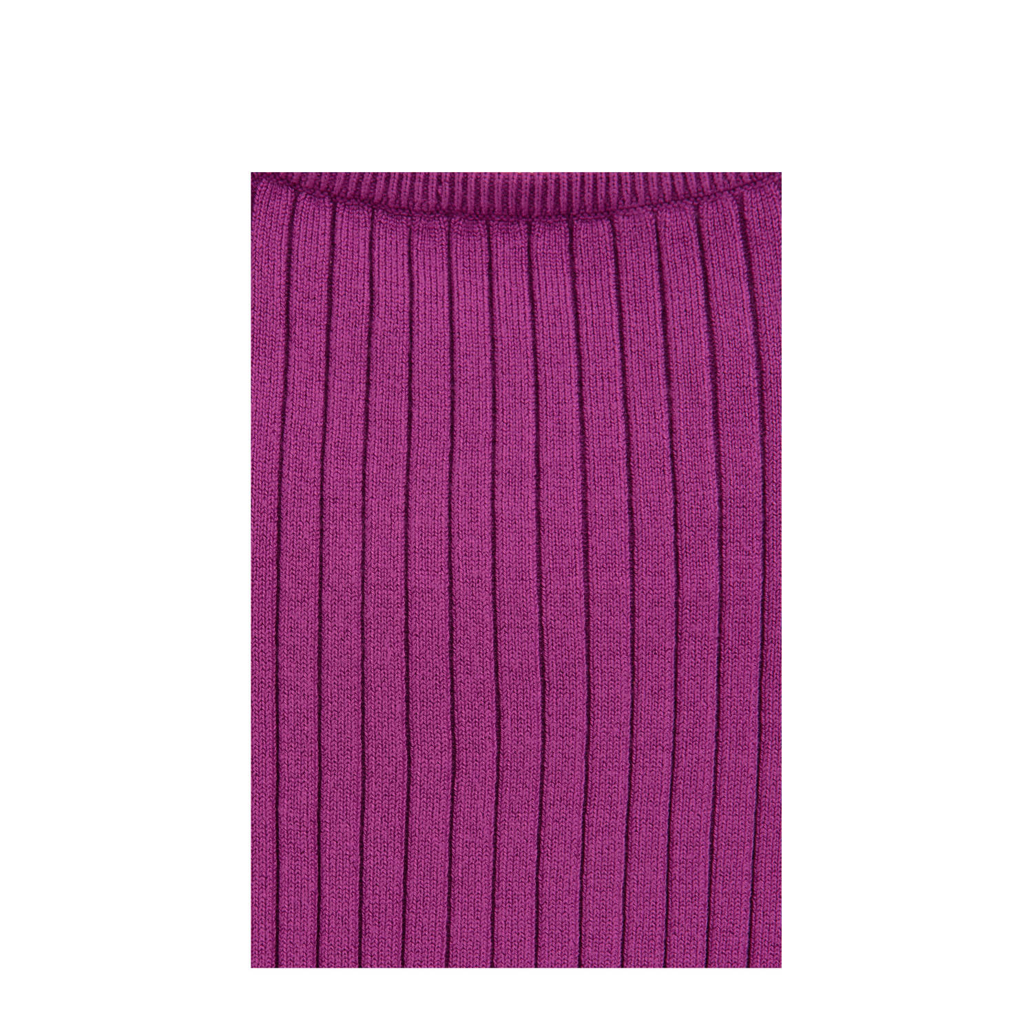 WE Fashion mouwloze top paars rib gebreid