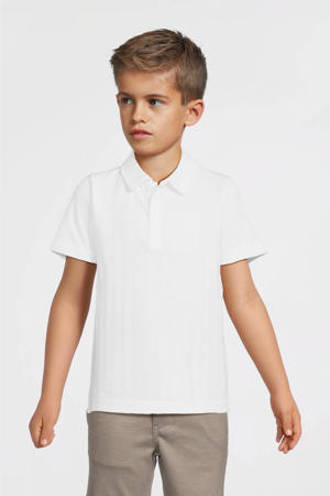 polo wit