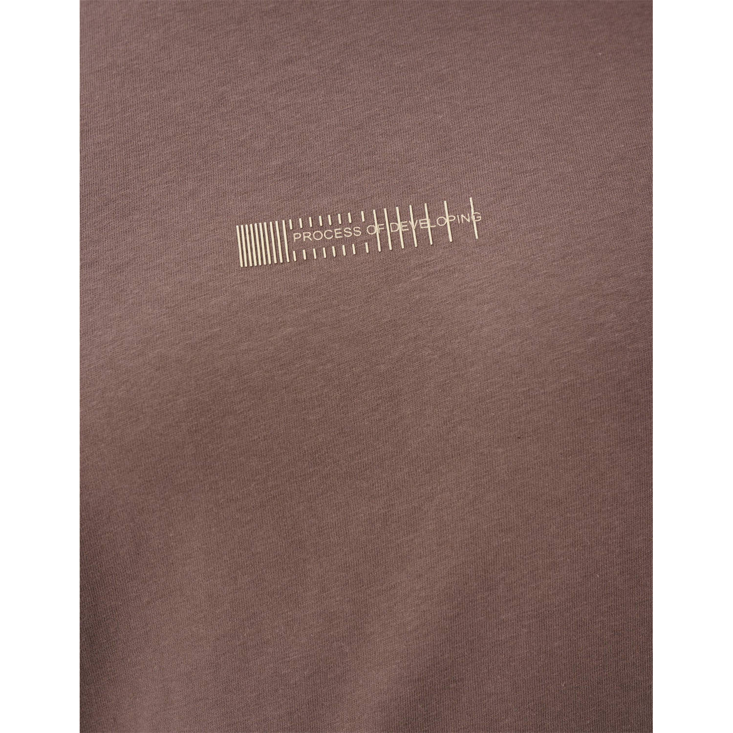 Shoeby T-shirt bruin