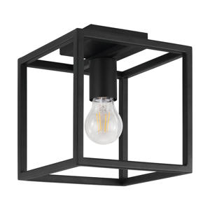 Eldrick Plafondlamp - E27 - 20 cm - Zwart