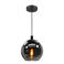 EGLO Ariscani Hanglamp - E27 - Ø 20 cm - rookglas - Zwart