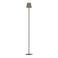 EGLO Fiorana Vloerlamp - E14 - Hoogte 140,5 cm - Zwart|Cappucino|Goud