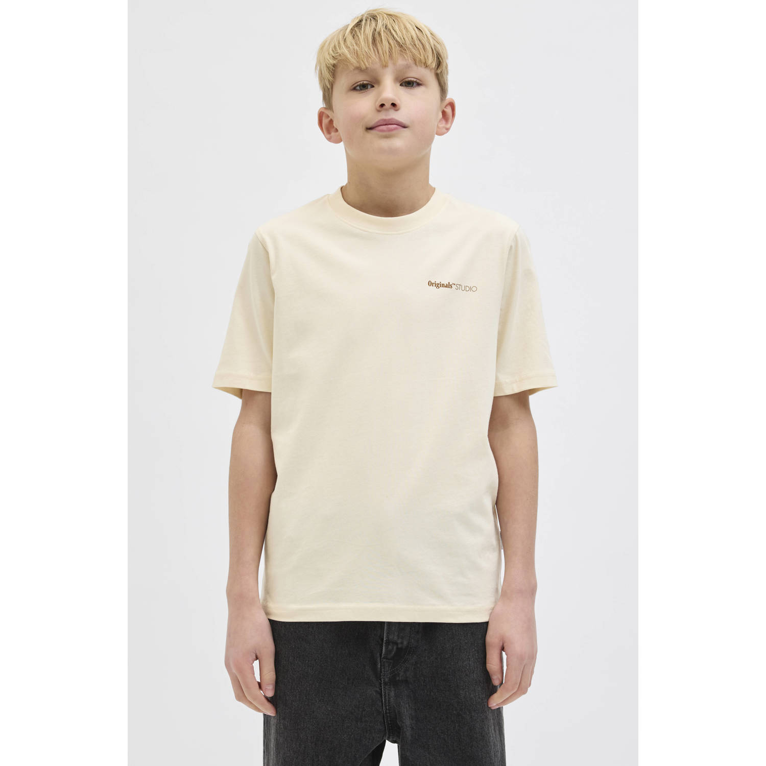 Jack & jones T-shirt met ronde hals model 'VARENNA'