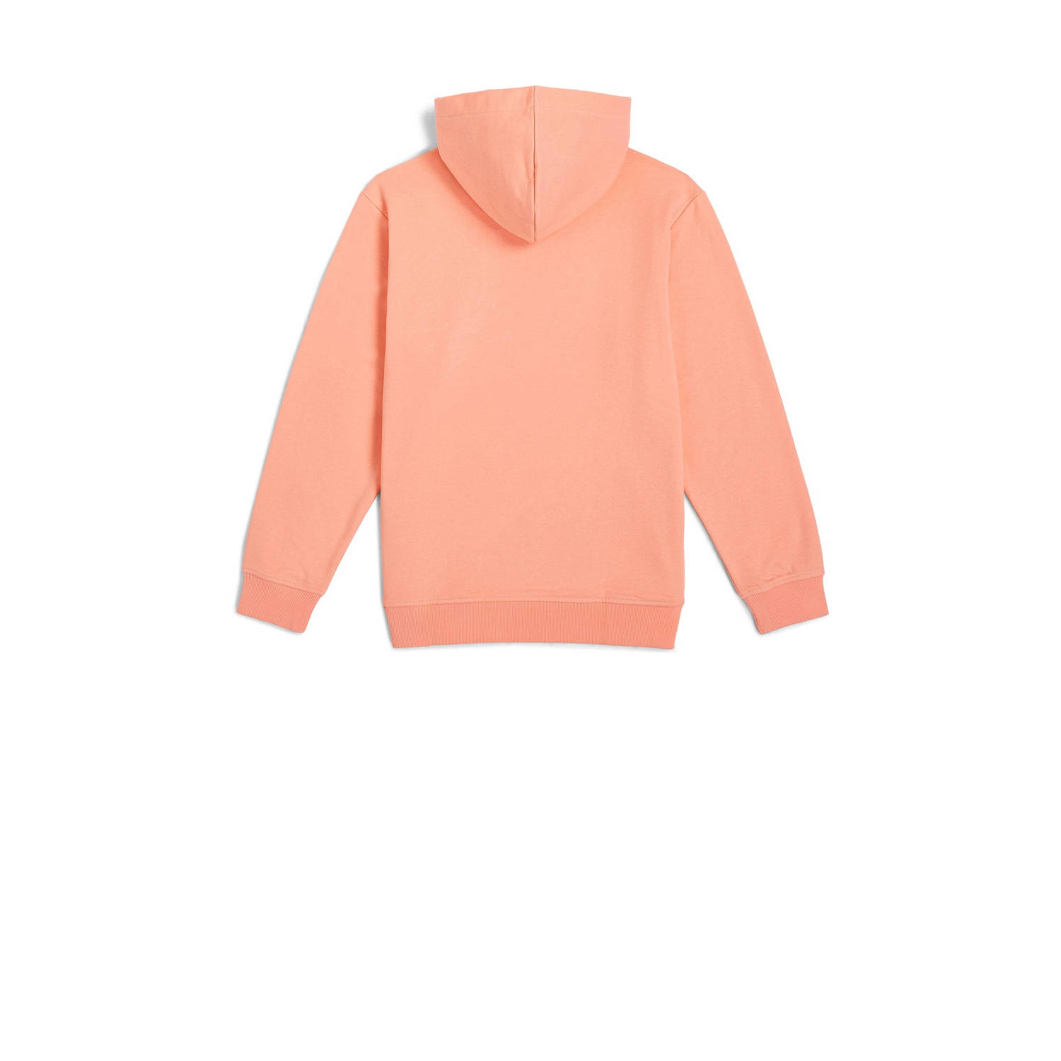 O'Neill hoodie zalm