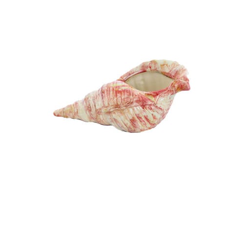 Light & Living ornament Shell afbeelding