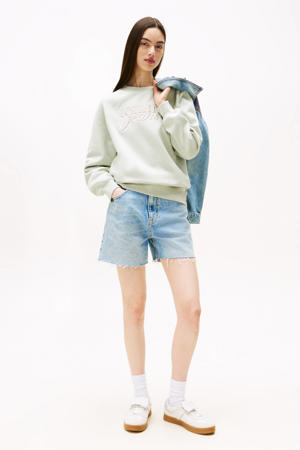 sweater lichtgroen