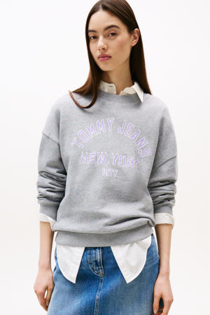 sweater grijs