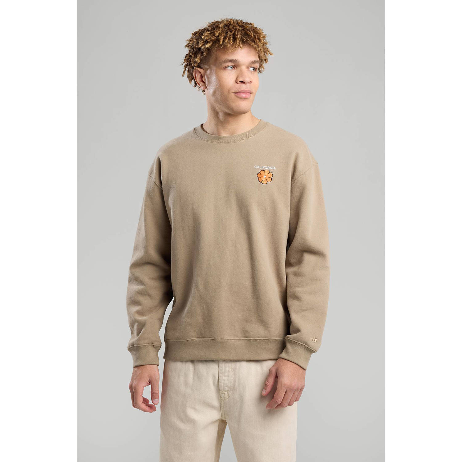 America Today sweater bruin
