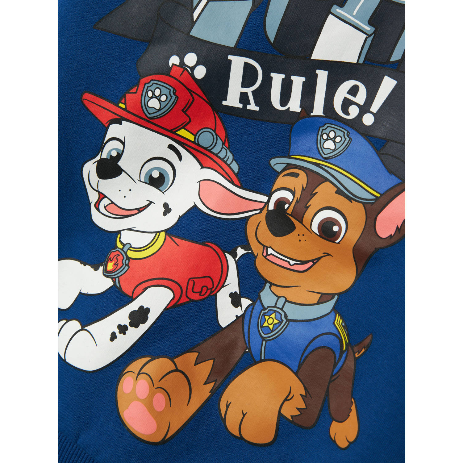 NAME IT MINI Paw Patrol sweater