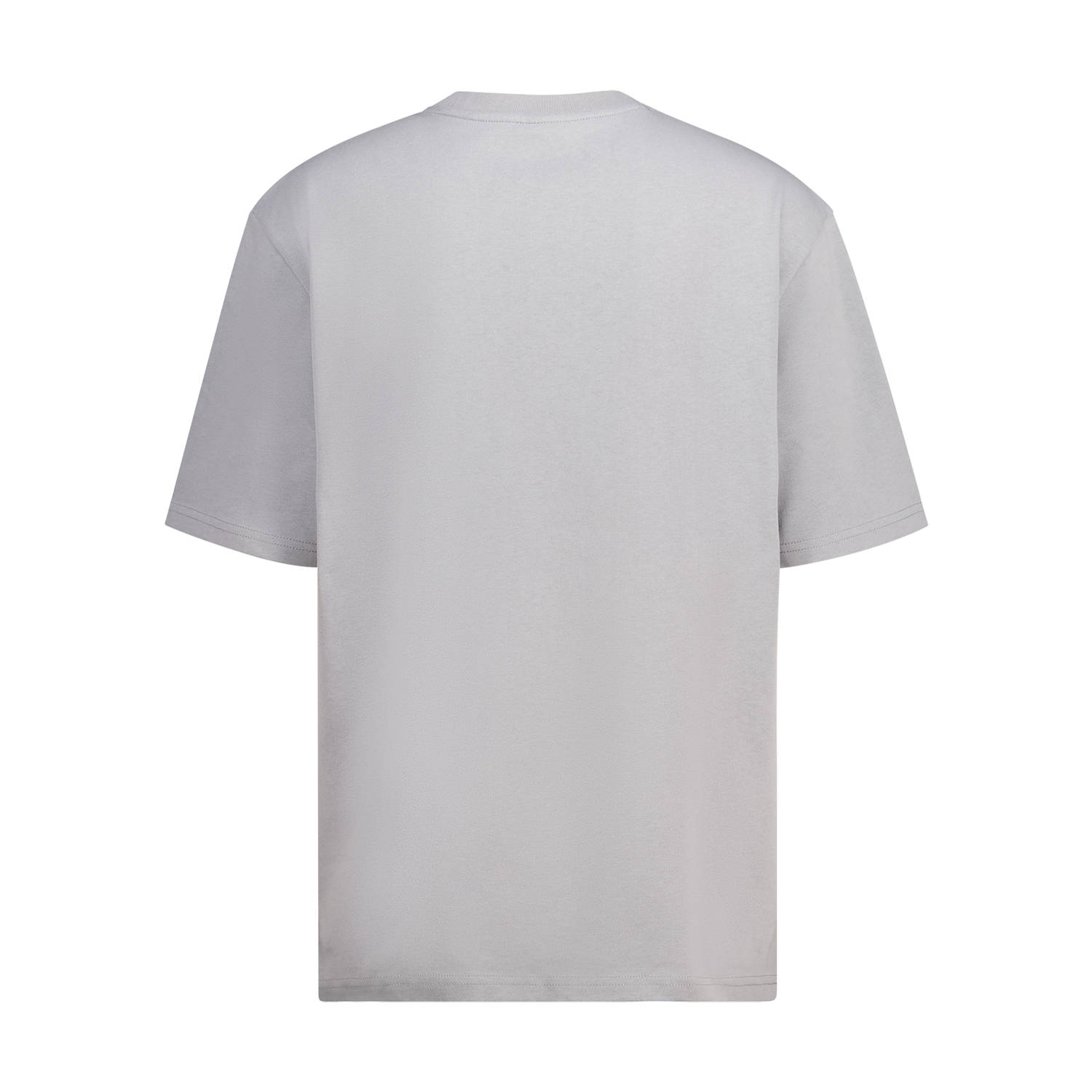 America Today T-shirt lichtgrijs