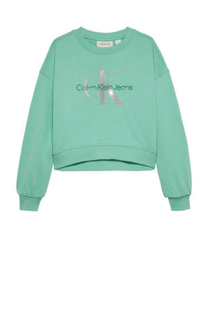 sweater groen