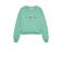 Calvin Klein sweater groen