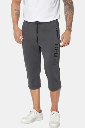 sportcapri Plus Size Alfvald grijs