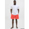 JACK & JONES PLUS SIZE zwemshort JPSTMAUI met logo koraalrood