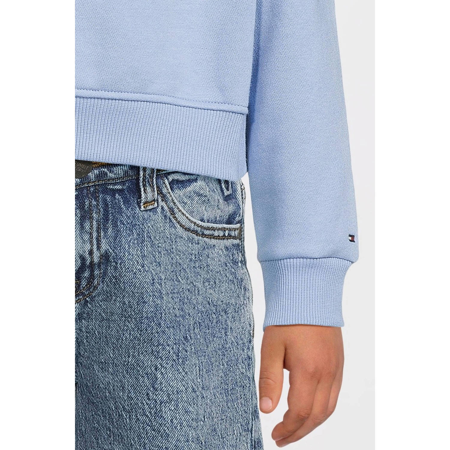 Tommy Hilfiger sweater lichtblauw
