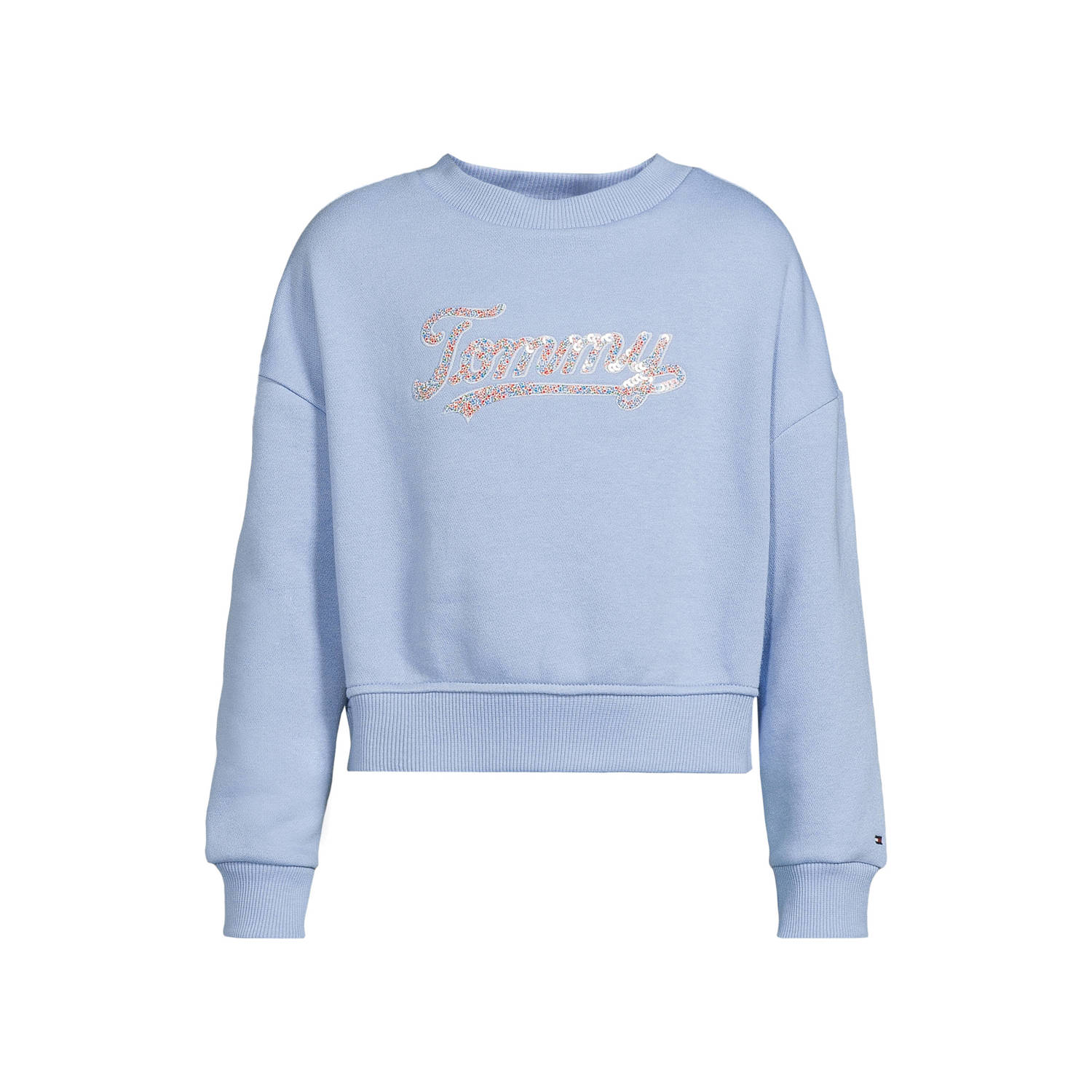 Tommy Hilfiger sweater lichtblauw