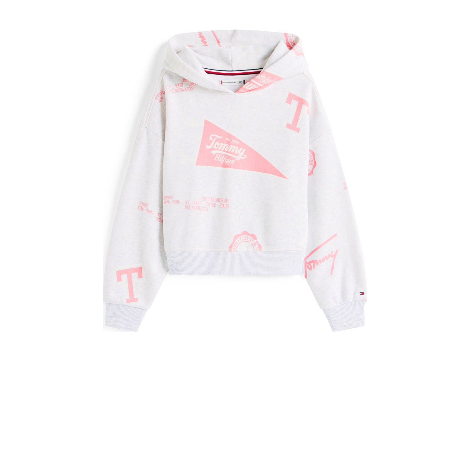 Tommy Hilfiger hoodie grijs melange