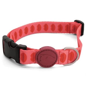 halsband Hond Lipstick Roze 30-42X1,5 cm